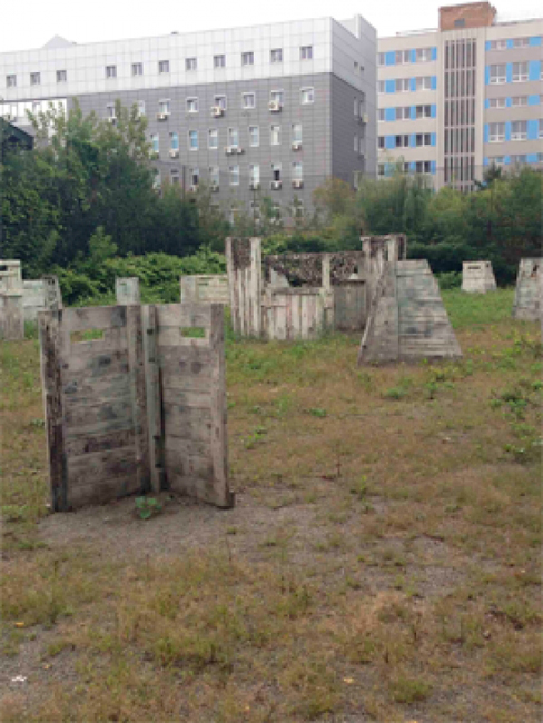 Медведи