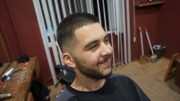 Wolf the BARBER