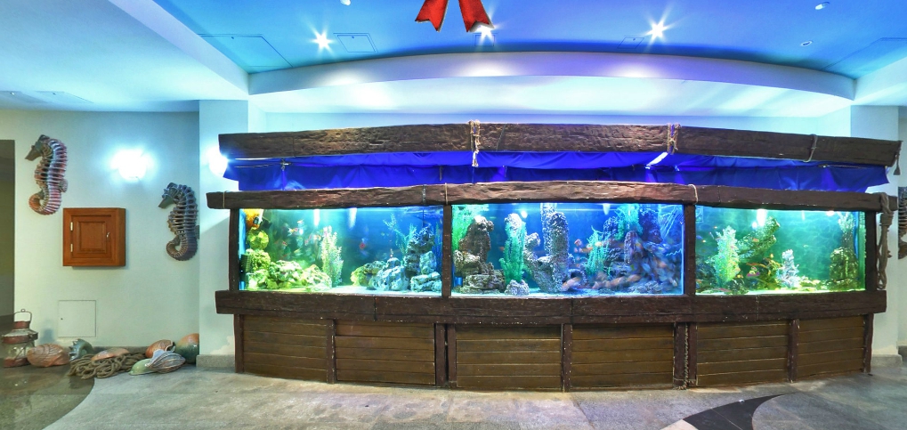 Театр Кукол