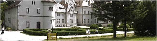 Карпаты