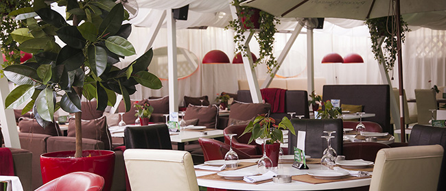 White Café 