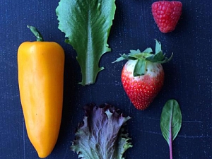 Пестициды в овощах  и фруктах ухудшают  качество спермы