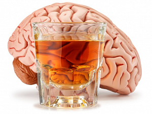 Доказано: мозг продолжает разрушаться, даже если перестать пить алкоголь