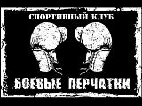 Боевые перчатки