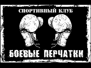 Боевые перчатки