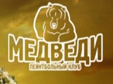 Медведи