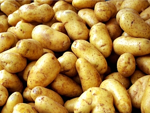 10 интересных фактов о картофеле