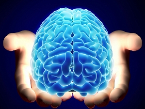 Эксперты: человеческий мозг способен функционировать в режиме «автопилота»