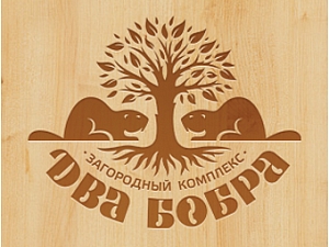 Два Бобра