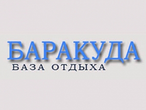 Баракуда