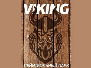 Викинг