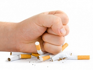 Курение приводит  к уменьшению коры головного  мозга