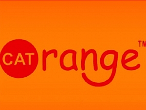 CAT ORANGE