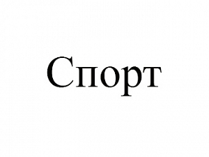 Спорт