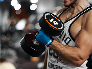 Анатомия мышц рук