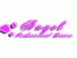 ANGEL Professional Dance Studio