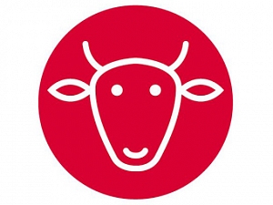 LA VACA TAPAS