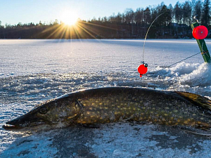 Настоящий мужской релакс: собираемся на зимнюю рыбалку