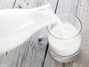 Молоко защищает мозг от токсинов и болезней