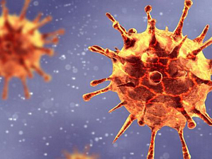 Обнаружен новый коронавирус. Специалисты рассказали, чего опасаться
