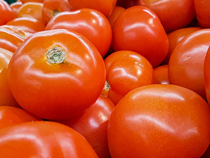 Как помидоры помогают нормализовать давления