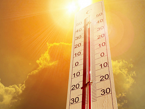 Ученые рассказали о неблагоприятном влиянии жаркого климата