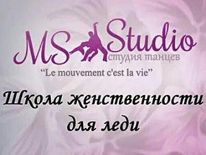 MS Studio