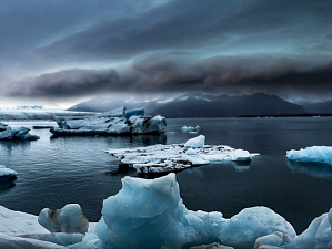 Ученые установили, могут ли водоросли в Арктике остановить глобальное потепление