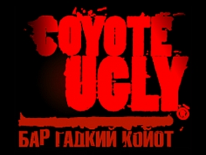 Гадкий койот