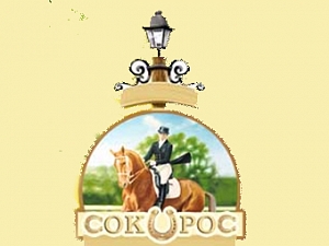 Сокорос